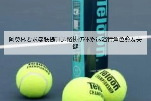 阿莫林要求曼联提升边路协防体系达洛特角色愈发关键